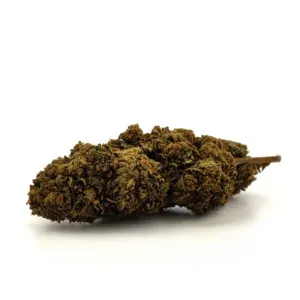 Fruit Passion, variété CBD hybride, saveurs tropicales intenses et notes sucrées, idéale pour une détente exotique.