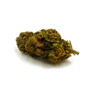 Fleur CBD hybride Indica/Sativa, goût doux et épicé avec notes d’agrumes, buds compacts verts et reflets orange.