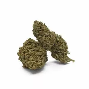 Big Bud, CBD aux fleurs compactes et résineuses, offrant des arômes terreux et épicés pour une détente profonde.