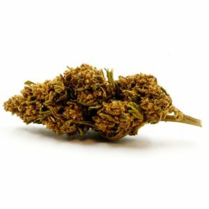 Fleur de CBD Jamaïcan Haze greenhouse 0.3% de THC