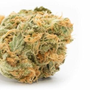 Fleur de CBD Jamaïcan Haze