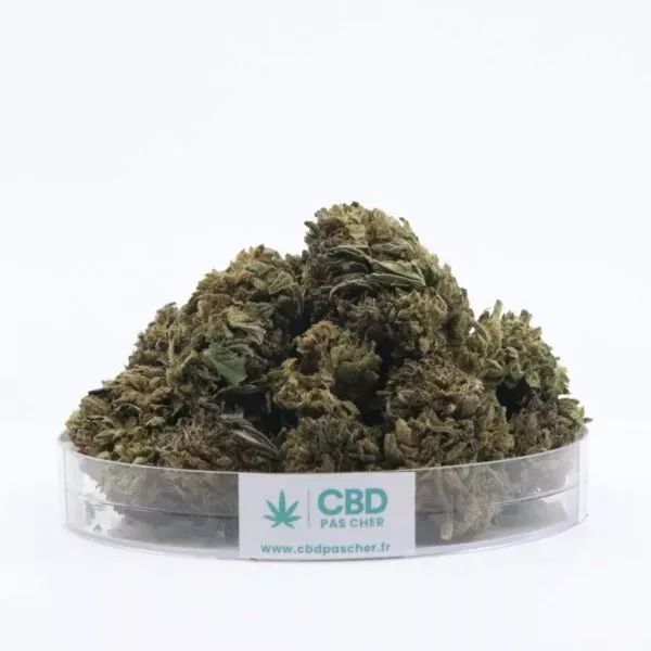 Sour Diesel – Image 14