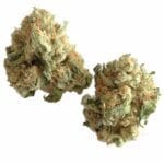 Fleur de CBD White Widow Greenhouse