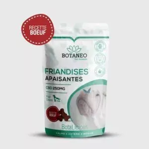 Friandis au CBD pour chien de Botalicious Botaneo au boeuf pas cher