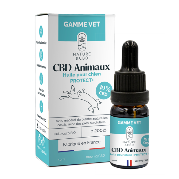 Huile CBD Chien PROTECT + 10% - NATURE & CBD