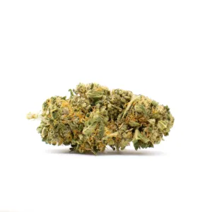 Orange Bud française, variété CBD locale aux arômes d’agrumes intenses et notes sucrées, parfaite pour une expérience fraîche et authentique.