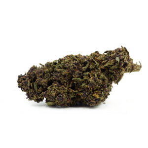 Fleur CBD Purple greenhouse, arômes fruités et terreux, buds colorés, qualité supérieure à prix imbattable.